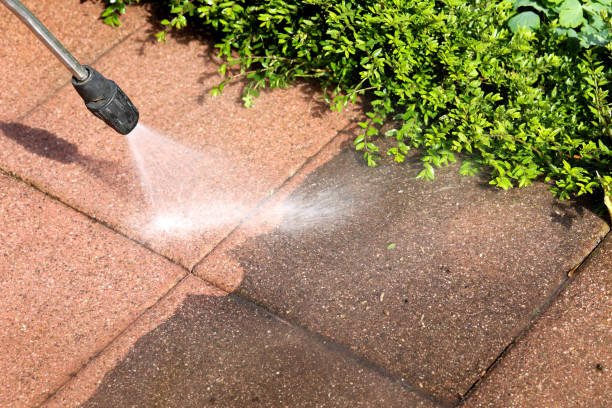 Best Roof Pressure Washing  in Riesel, TX